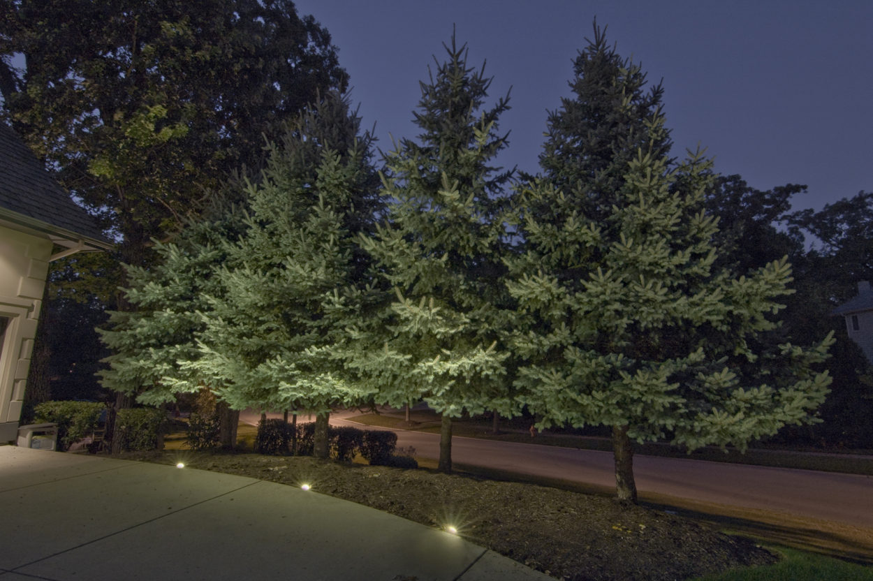 Tree Lighting Outdoor Lighting in Chicago, IL Outdoor Accents